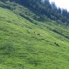 Motorradtour Bodensse und Südtirol