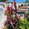 Motorradtouren bei Grenoble